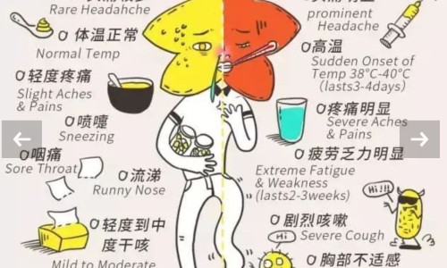 黄鼠狼中药材-黄鼠狼 中药网 - 为你提供黄鼠狼中药材治什么病、黄鼠狼中药叫什么名字